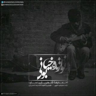 نوازنده خیابانی