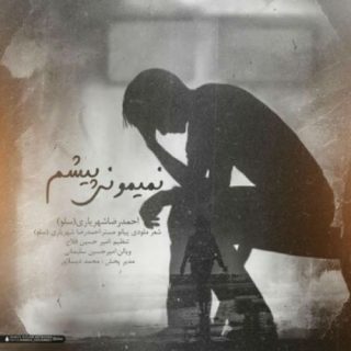 نمیمونی پیشم