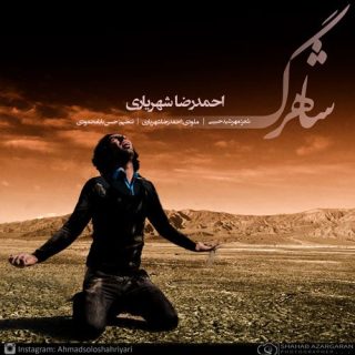 شاهرگ