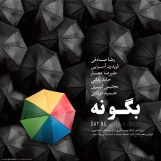 تازه شو
