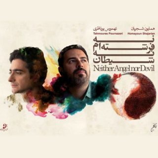 در حصار شب