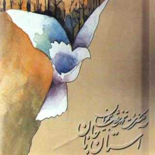 سرو ناز