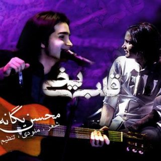قلب یخی
