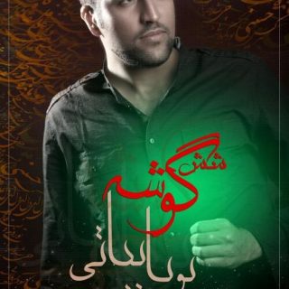 دلتنگیه حسین