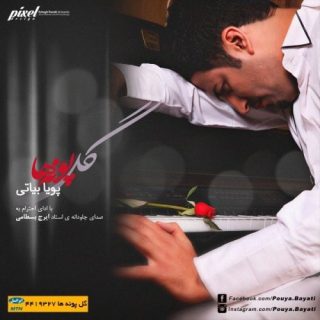 گل پونه
