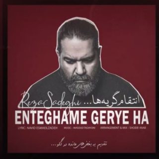 انتقام گریه ها