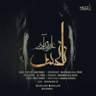 نانحس