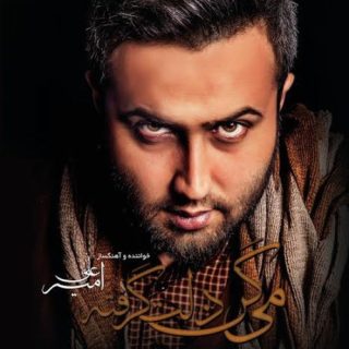 دیدی دلتنگتم