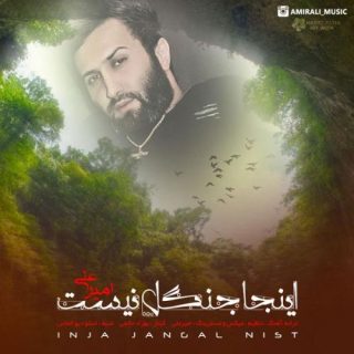 اینجا جنگل نیست