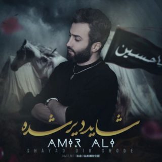 شاید دیر شده