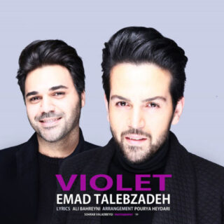ویولت