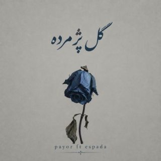 گل پژمرده