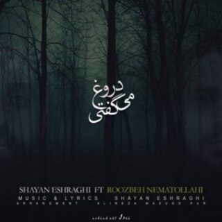 دروغ میگفتی