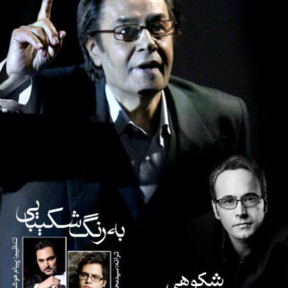 به رنگ شکیبایی