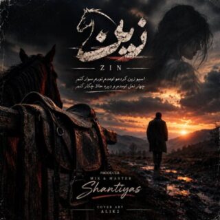 زین (دلی)